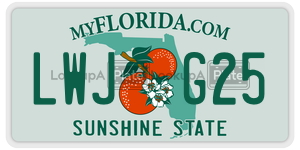 LWJG25  license plate in FL