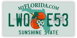LWQE53 license plate in Florida
