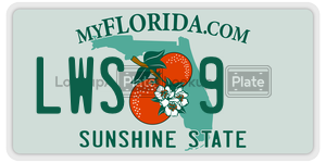 LWS9  license plate in FL