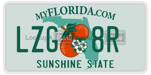LZG8R  license plate in FL