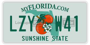 LZYW41  license plate in FL