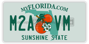 M2AVM  license plate in FL