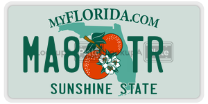 MA8TR  license plate in FL