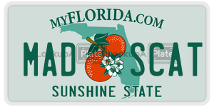 MADSCAT  license plate in FL