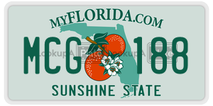 MCG188  license plate in FL