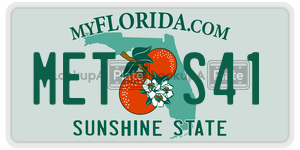 METS41  license plate in FL