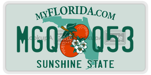 MGQQ53  license plate in FL