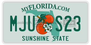 MJUS23 license plate in Florida