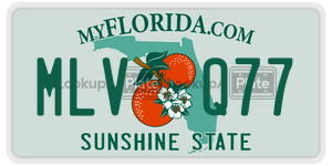 MLVQ77 license plate in Florida