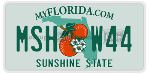 MSHW44 license plate in Florida