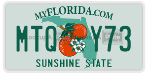 MTQY73 license plate in Florida