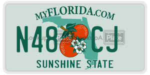N48CJ  license plate in FL