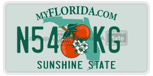 N54KG  license plate in FL