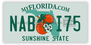 NABI75 license plate in Florida