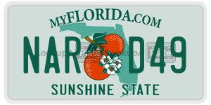 NARD49 license plate in Florida