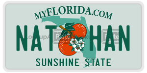 NATHAN  license plate in FL