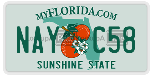 NAYC58  license plate in FL