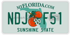 NDJF51  license plate in FL