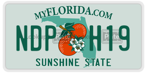 NDPH19 license plate in Florida