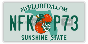 NFKP73  license plate in FL