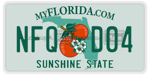NFQD04 license plate in Florida