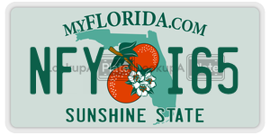 NFYI65  license plate in FL