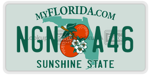 NGNA46  license plate in FL