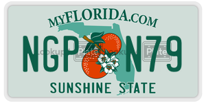NGPN79  license plate in FL