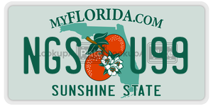 NGSU99  license plate in FL