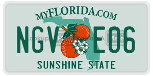 NGVE06 license plate in Florida