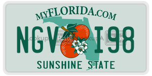 NGVI98  license plate in FL