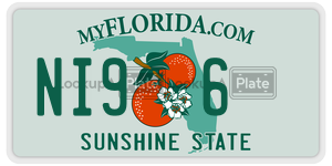 NI96 license plate in Florida