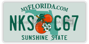 NKSC67  license plate in FL