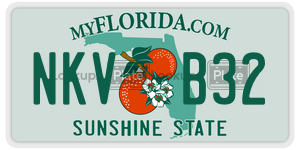 NKVB32  license plate in FL