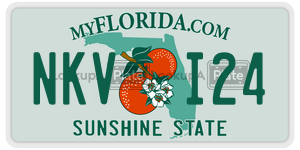 NKVI24 license plate in Florida