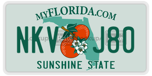 NKVJ80 license plate in Florida