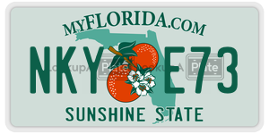 NKYE73  license plate in FL