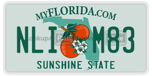 NLIM83  license plate in FL