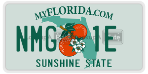 NMG1E license plate in Florida