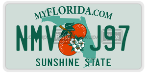 NMVJ97 license plate in Florida