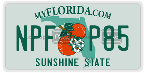 NPFP85  license plate in FL