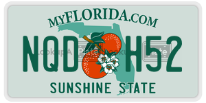 NQDH52  license plate in FL