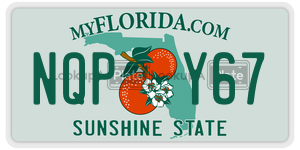 NQPY67  license plate in FL