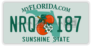 NRQI87 license plate in Florida