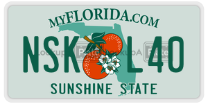NSKL40 license plate in Florida