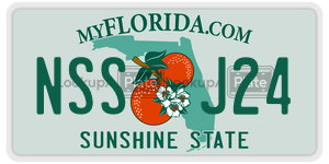 NSSJ24  license plate in FL