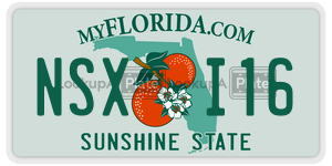 NSXI16 license plate in Florida