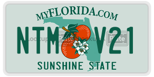 NTMV21  license plate in FL