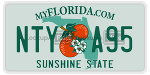NTYA95  license plate in FL