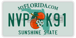 NVPK91  license plate in FL